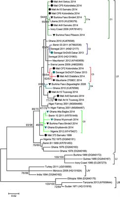 Corrigendum: Genetic Evidence for Transboundary Circulation of Peste Des Petits Ruminants Across West Africa